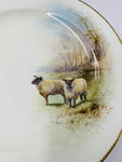 Wedgwood hand painted sheep plate J. H. Plant