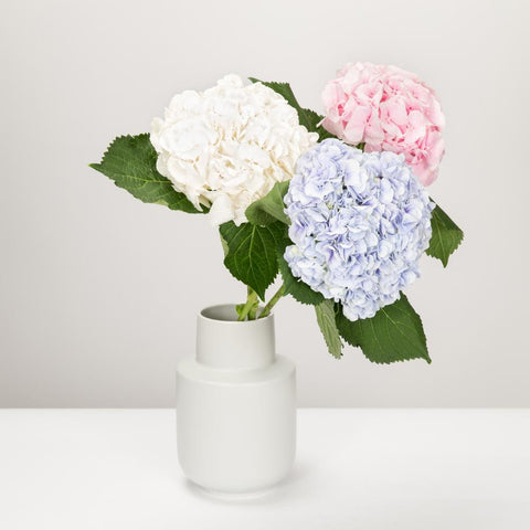 Vases
