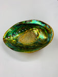 Large Fiordland polished Paua shell