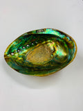 Large Fiordland polished Paua shell