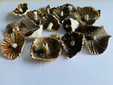 Collection of hand made pottery mushrooms