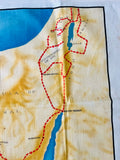 Linen Tea Towel of the Peninsula of Sinai