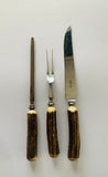 Horn Handled Carving Set
