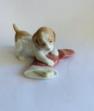 Nao puppy with its Xmas stocking