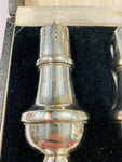 Sterling Silver salt and pepper shakers