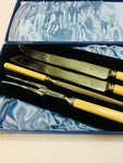 Antique Bone handled carving set in original box