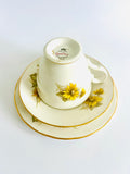 Queen Anne Daisy Trio