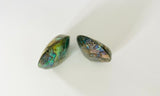 Fiordland Paua Shell Salt and Peppers