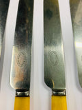 Set of 4 bone handle knives