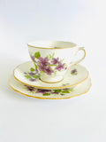 Royal Vale Violets Trio