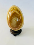Brown Ringed Agate Egg with White Green Yellow Rings