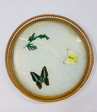 Butterfly tray and coasters