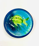 Paul Walshe New Zealand Pottery Trinket Dish with Fish