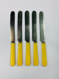 Set of 5 bone handle dinner knives