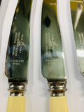Set 6 bone handle knives