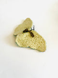 Pottery Butterfly with Blue and Orange wings