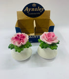 Boxed Aynsley Dainty salt and pepper shakers