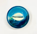 Paul Walshe New Zealand Pottery Trinket Dish with Shell