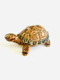 Wade Decorative Turtle with removable shell