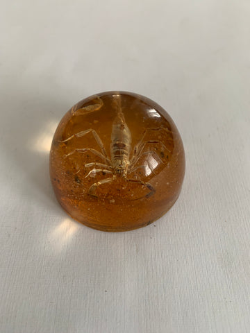 Vintage Scorpion paperweight