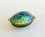 Paua Shell Money Purse
