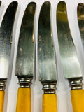 Set 6 Bone handle knives