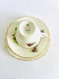 Royal Vale Violets Trio