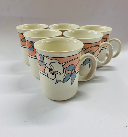 Set 6 Crown Lynn retro mugs