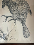 Brian Moore Kea Signed Art