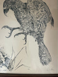 Brian Moore Kea Signed Art