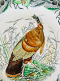 Adams Birds of America Plate 'Turkey'