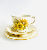 Queen Anne Daisy Trio