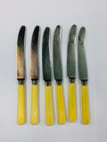 Set of 6 bone handle dinner knives
