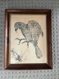 Brian Moore Kea Signed Art