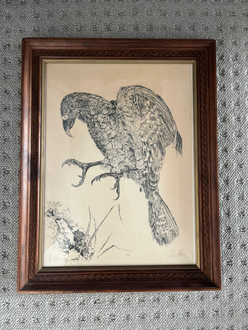 Brian Moore Kea Signed Art