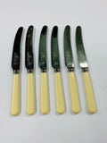 Set 6 bone handle knives