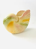 Stoke on Trent Multi Coloured shell Vase
