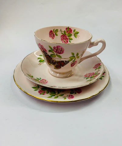 Tuscan June Glory pink butterfly trio