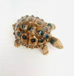 Wade Turtle with Lift up Shell
