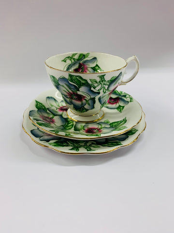 Queen Anne Magnolia trio
