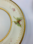 Very Rare Percy Curnock hand painted Moths plate