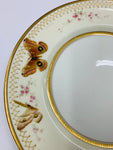 Very Rare Percy Curnock hand painted Moths plate