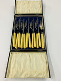 Antique bone handled fish cutlery set in original wooden box