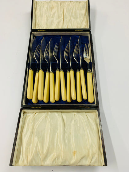Antique bone handled fish cutlery set in original wooden box