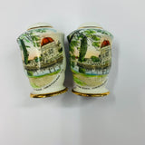 Vintage Avon River Christchurch salt and pepper shakers