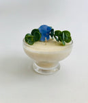 Soy Candle in Glass Dish on Short Base